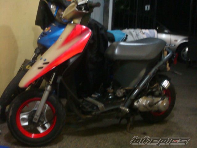 1987 HONDA DIO 50 | Picture 1727900 motorcycle photo