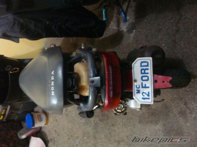 1987 HONDA DIO 50 | Picture 1727902 motorcycle photo