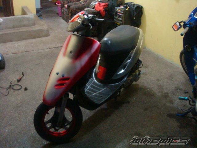 1987 HONDA DIO 50 | Picture 1727910 motorcycle photo