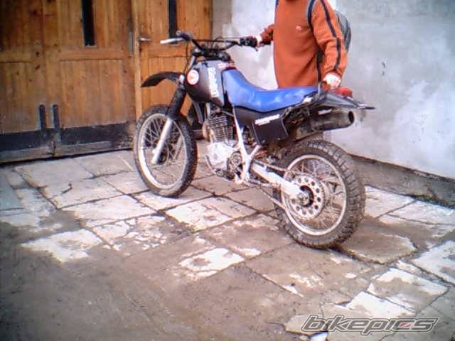 1985 HONDA XL 500 | Picture 172798 motorcycle photo