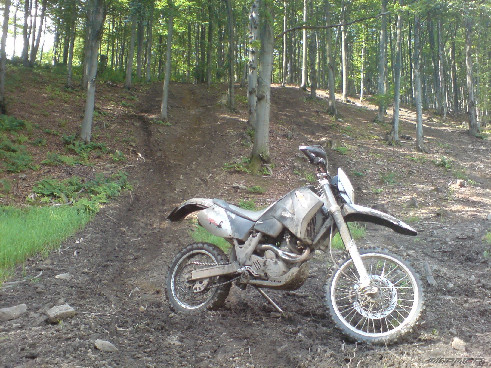 2001 KTM 640 LC4 | Picture 1727985 motorcycle photo