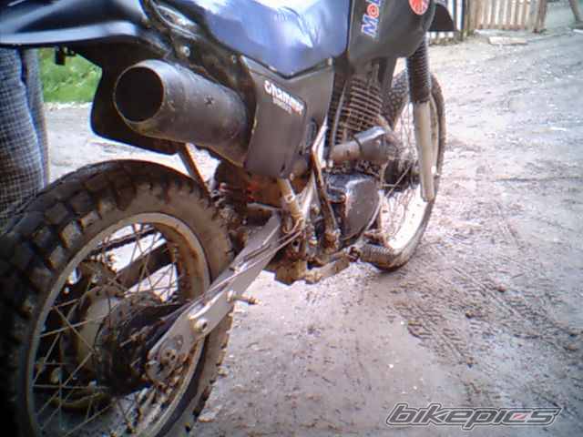 1985 HONDA XL 500 | Picture 172805 motorcycle photo