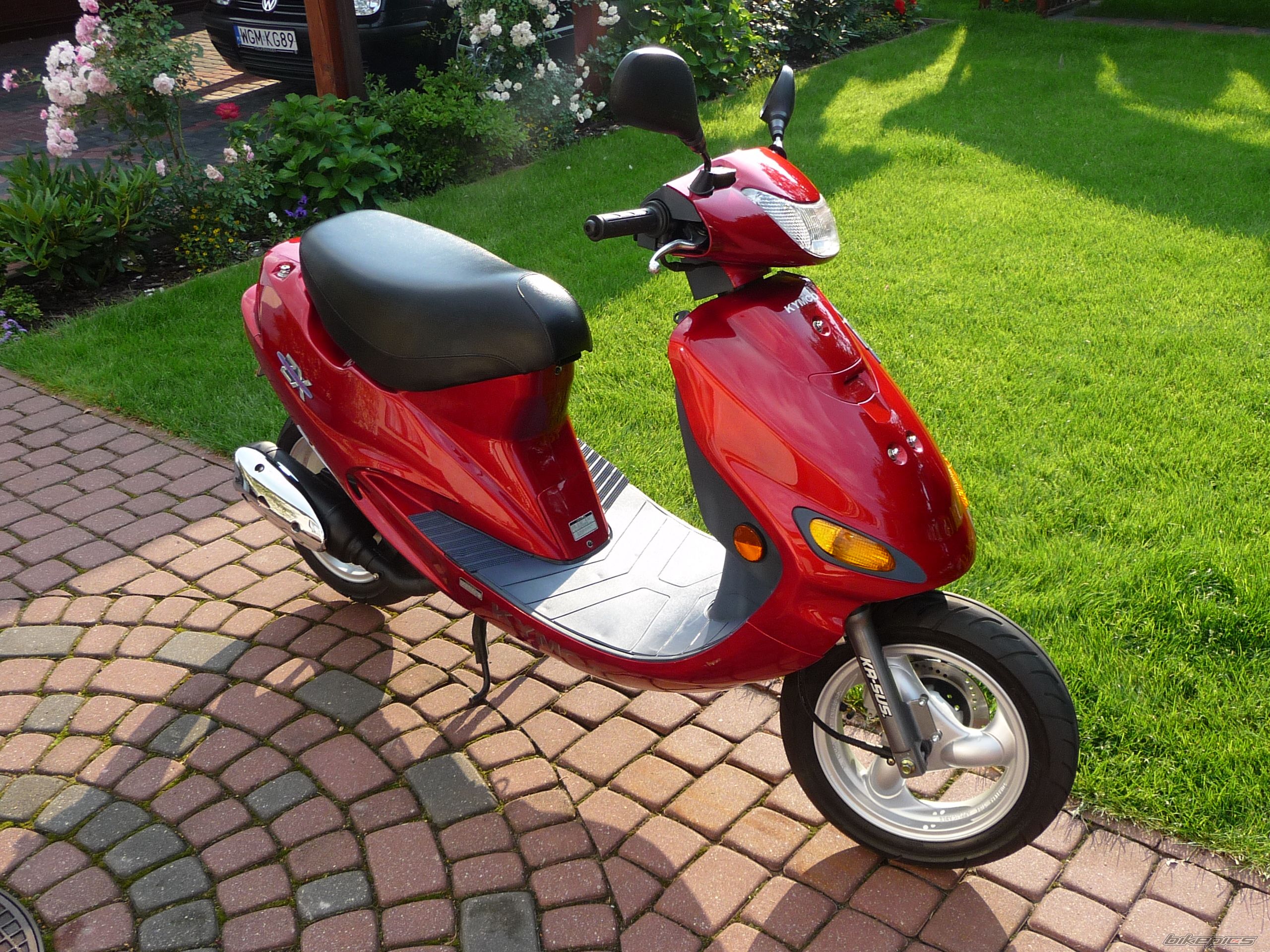 2003 KYMCO ZX 50 | Picture 1728110 motorcycle photo