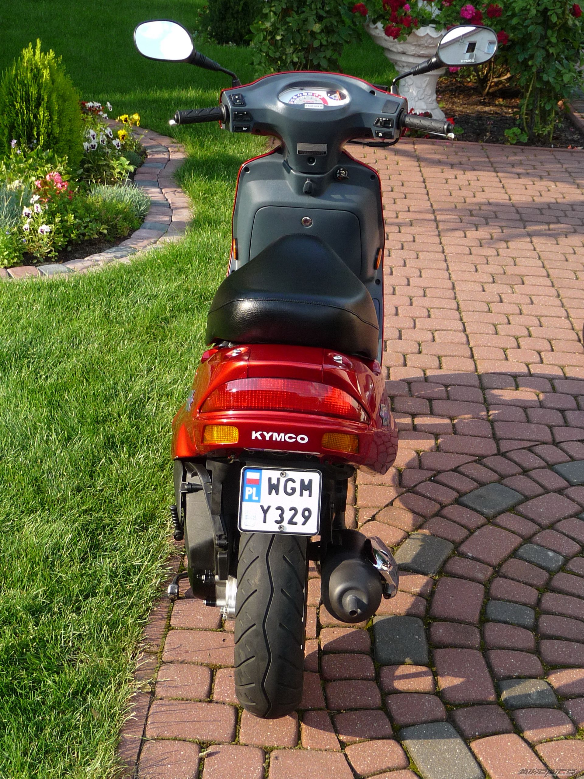 2003 KYMCO ZX 50 | Picture 1728127 motorcycle photo
