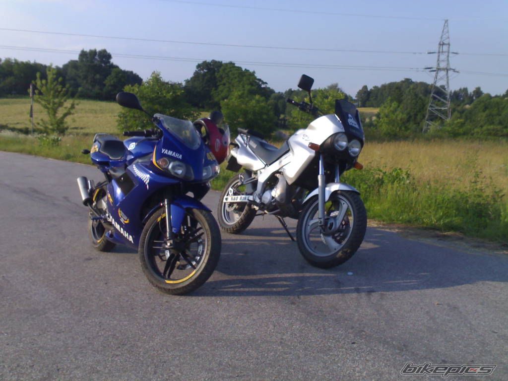 2004 YAMAHA TZR 50 | Picture 1728255 motorcycle photo