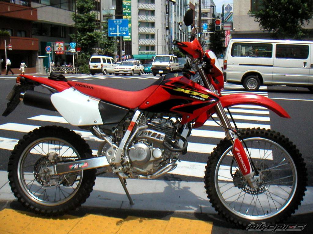 2004 HONDA XR 250 | Picture 172845 motorcycle photo