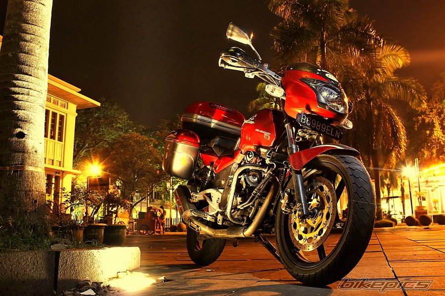 2008 BAJAJ PULSAR 200 | Picture 1728726 motorcycle photo
