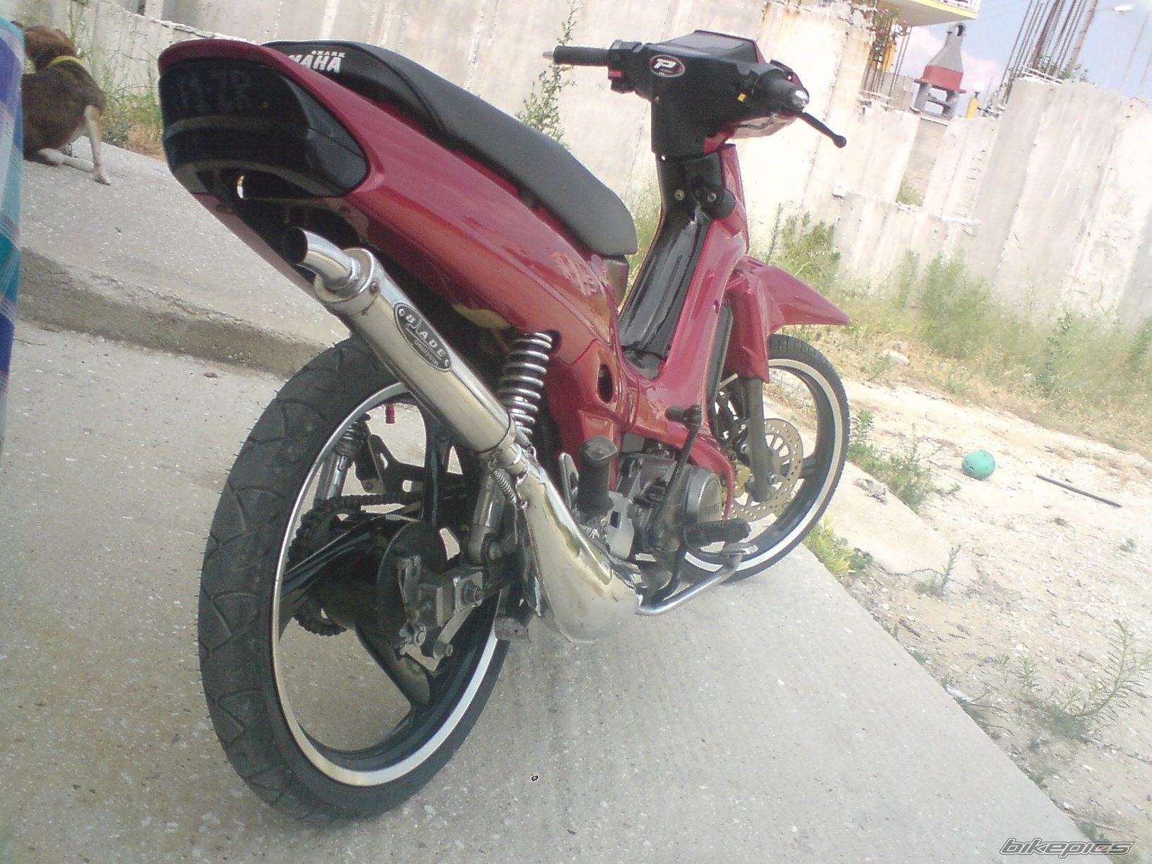 2009 YAMAHA F1 ZR | Picture 1728855 motorcycle photo
