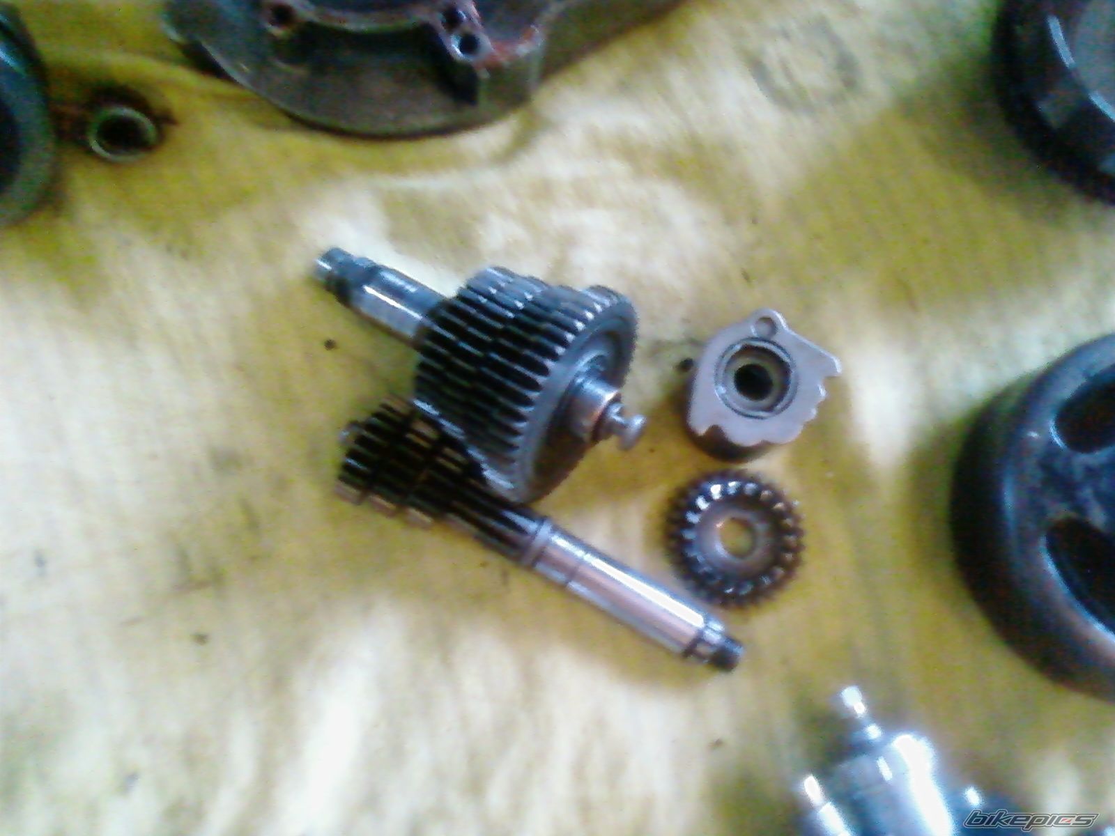    | Picture 1730380 motorcycle photo