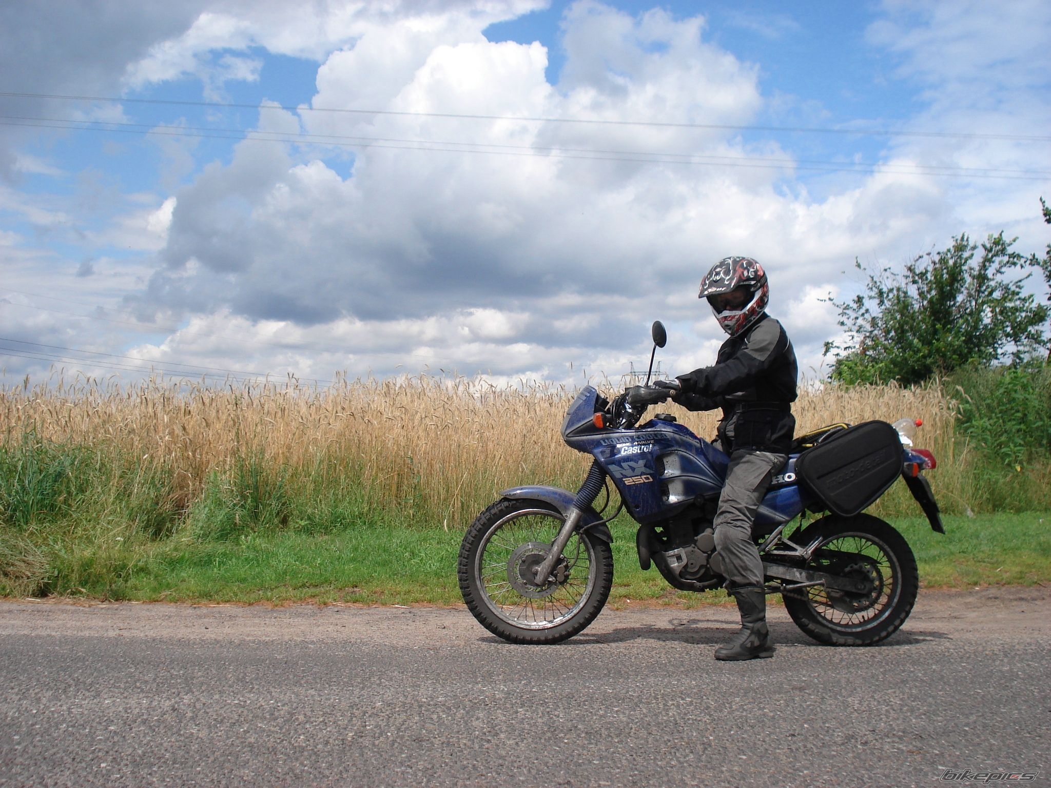 1989 HONDA NX 250 | Picture 1730796 motorcycle photo