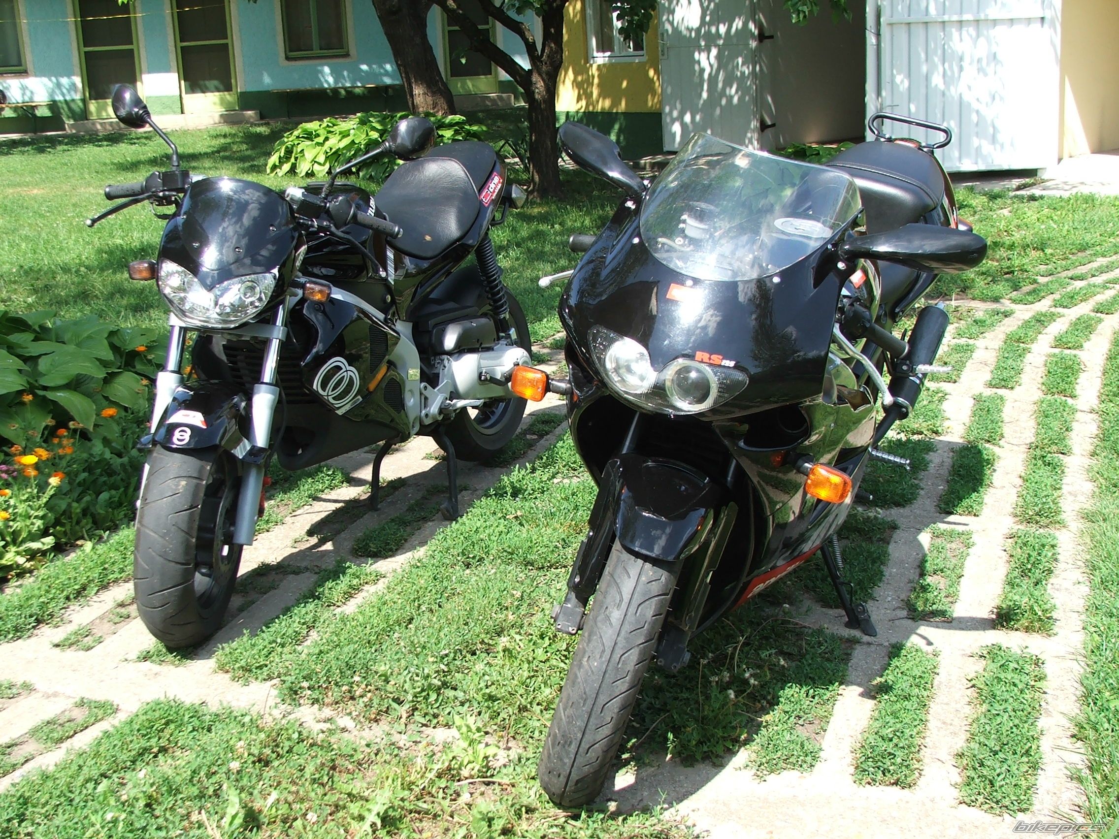 1997 APRILIA RS 125 | Picture 1731407 motorcycle photo