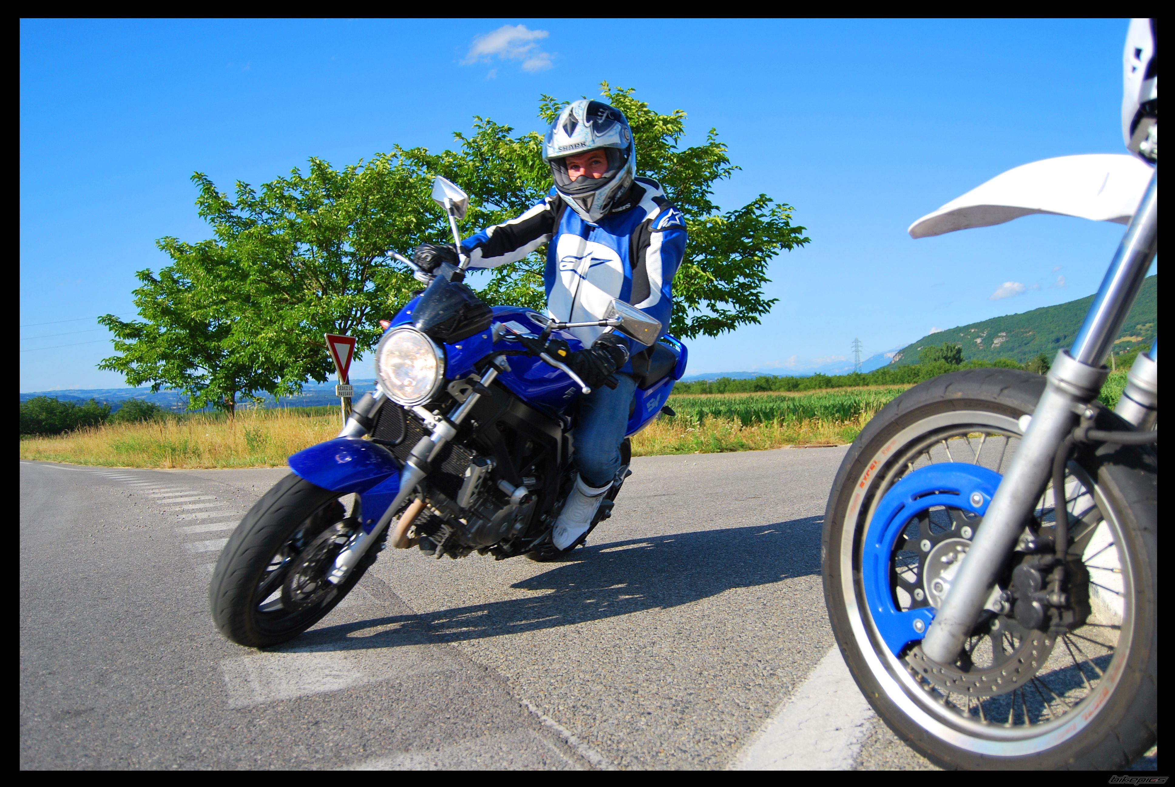 2008 SUZUKI SV 650 | Picture 1731664 motorcycle photo
