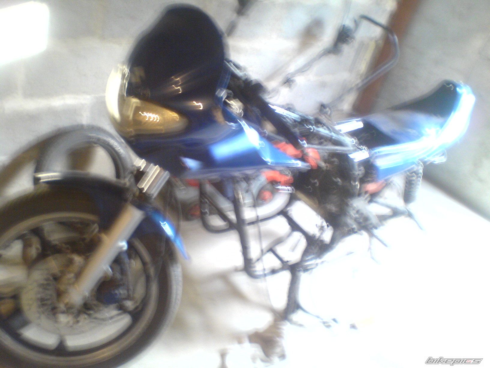    | Picture 1731802 motorcycle photo