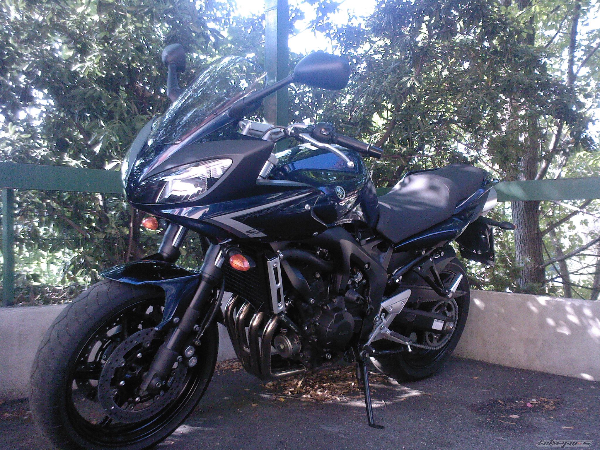 2009 YAMAHA FZ6 FAZER | Picture 1731981 motorcycle photo