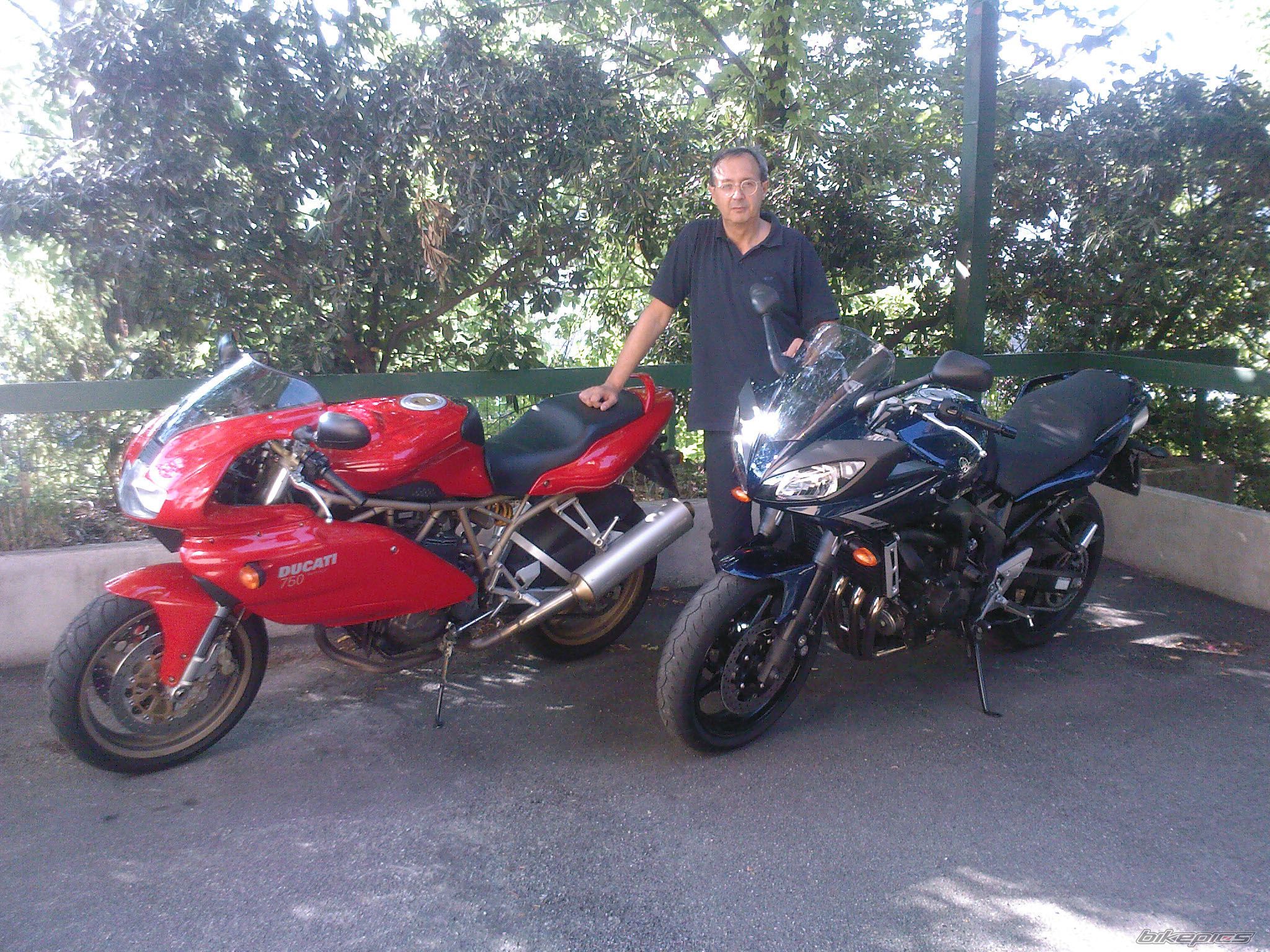 2009 YAMAHA FZ6 FAZER | Picture 1731984 motorcycle photo