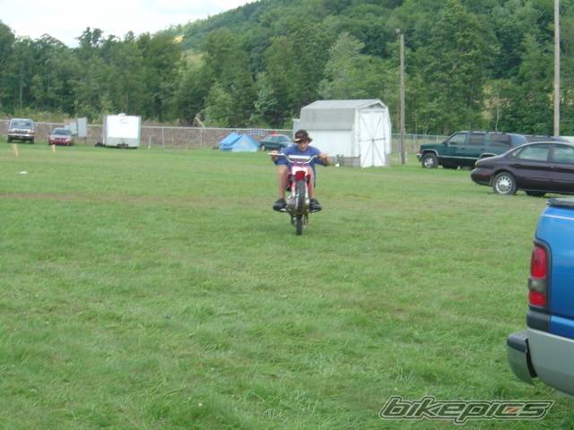 2004 HONDA CRF 50 | Picture 173204 motorcycle photo