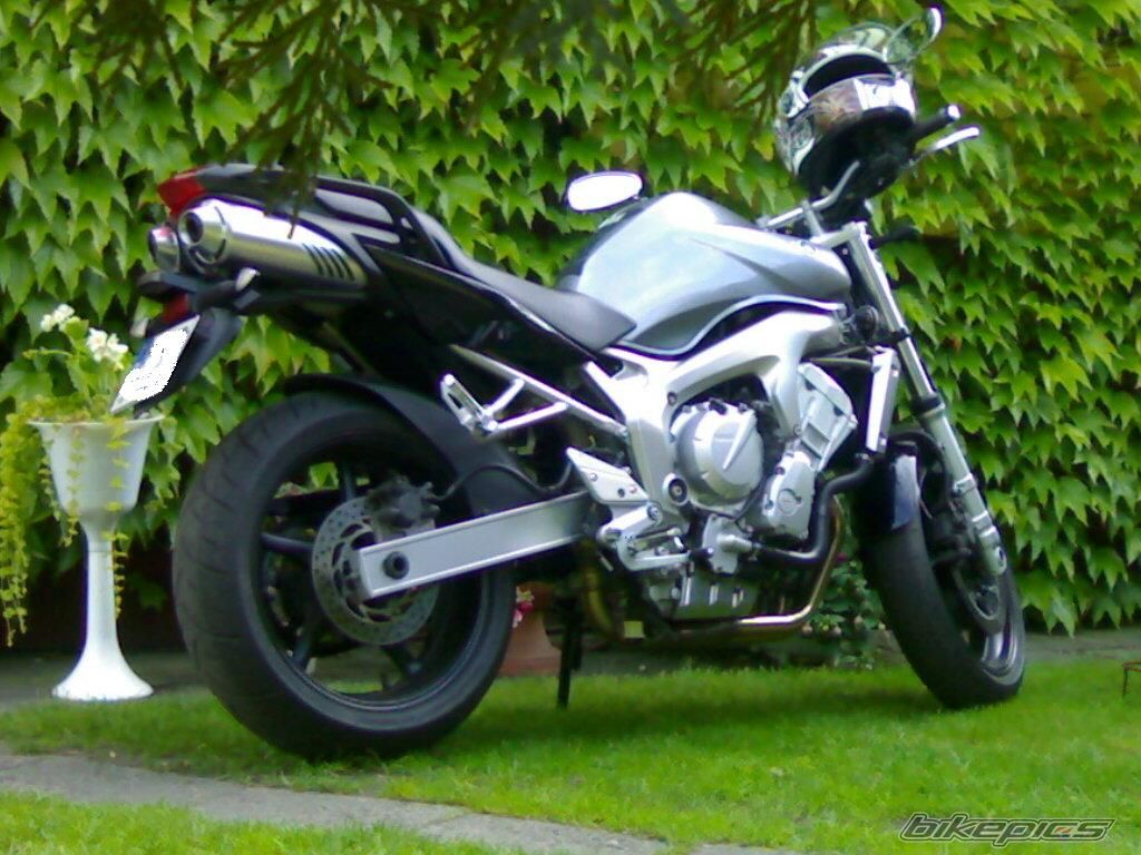 2006 YAMAHA FZ6N | Picture 1732677 motorcycle photo