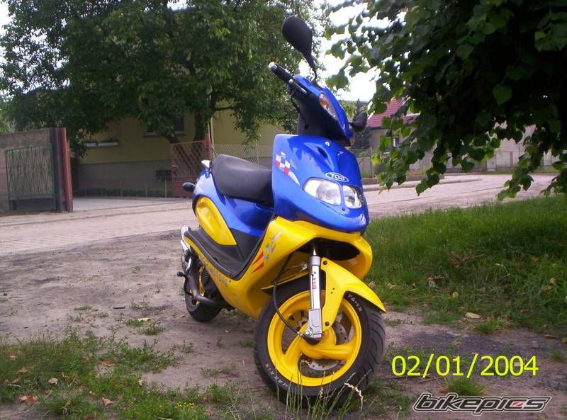 2003 TGB 303 RS | Picture 1732956 motorcycle photo
