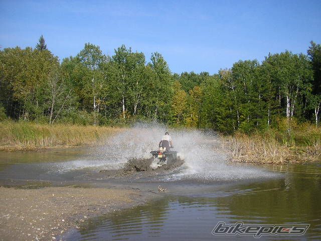 2005 YAMAHA KODIAK | Picture 1732978 motorcycle photo