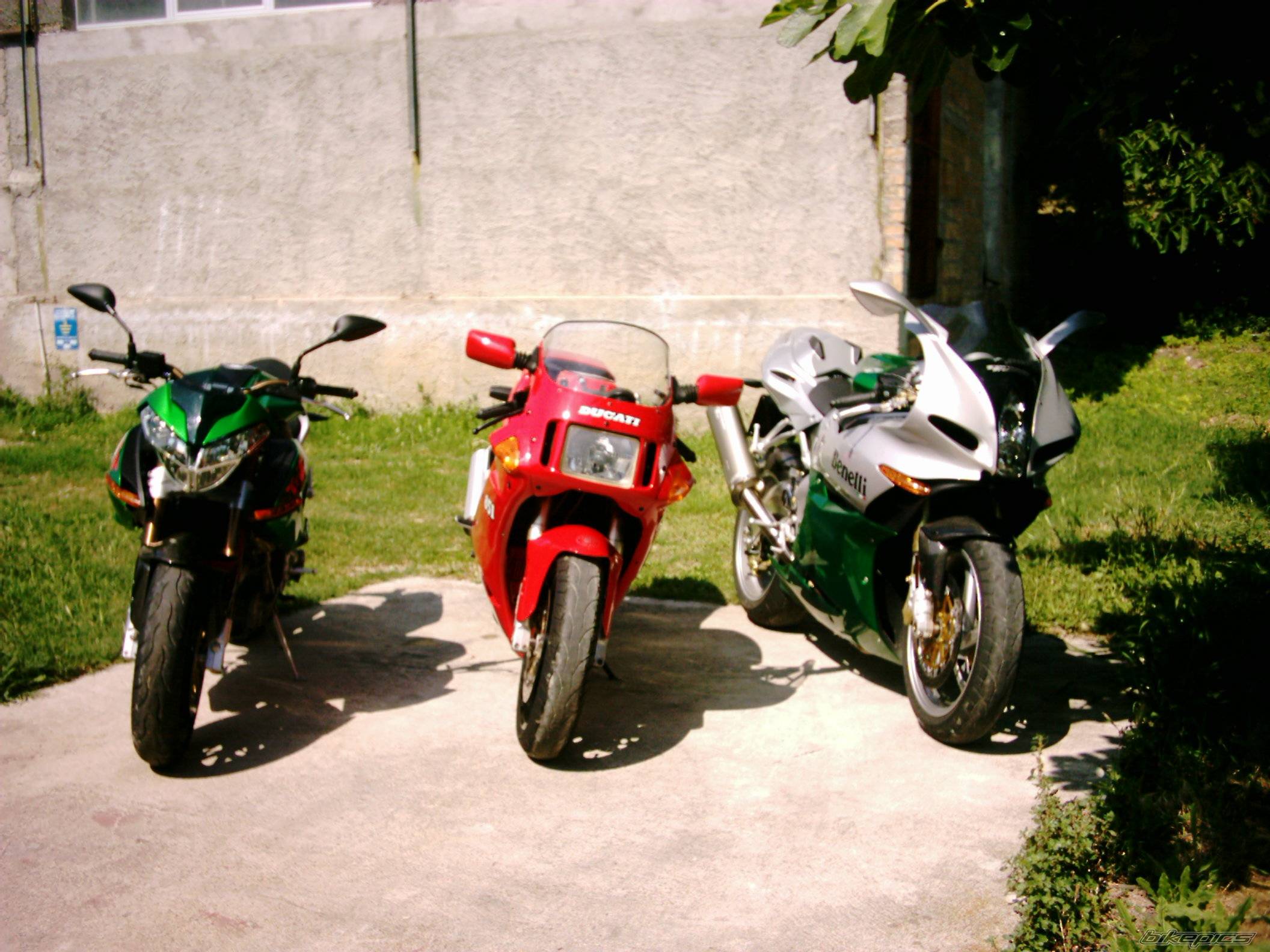2004 BENELLI TORNADO | Picture 173300 motorcycle photo