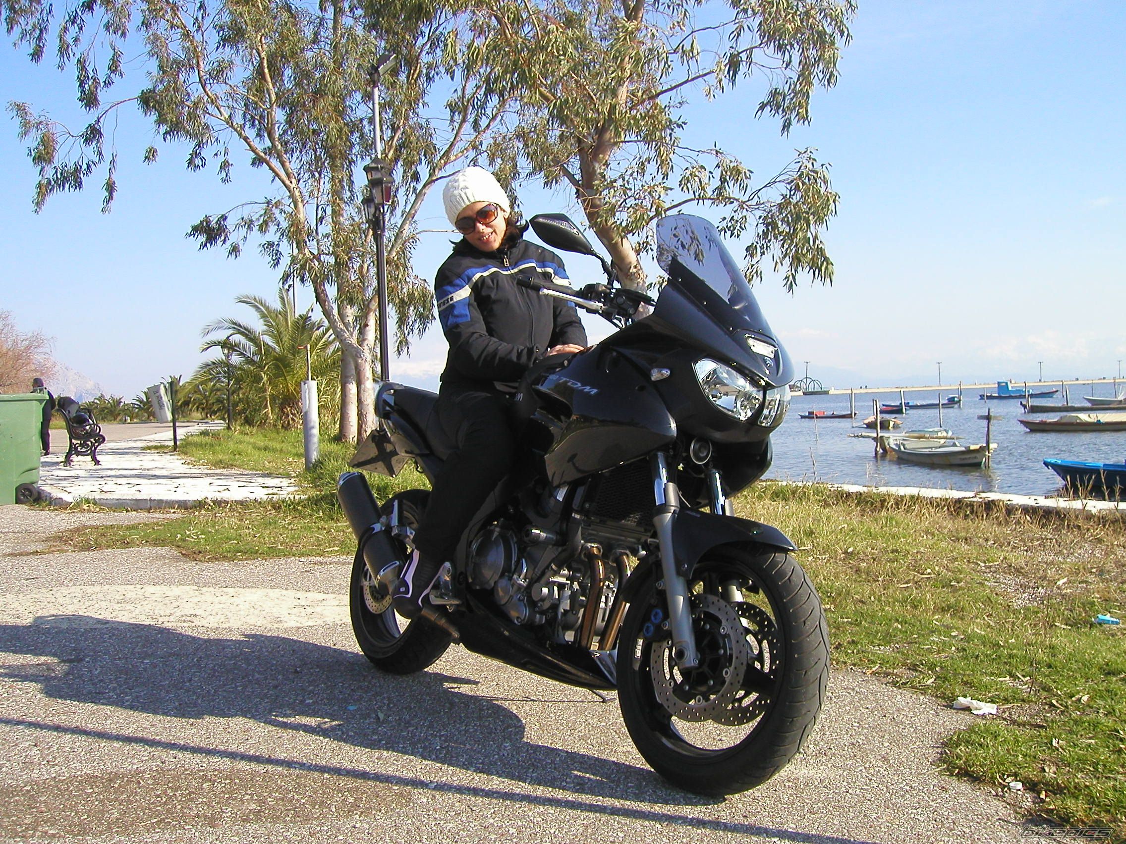 2006 YAMAHA TDM 900 | Picture 1733289 motorcycle photo