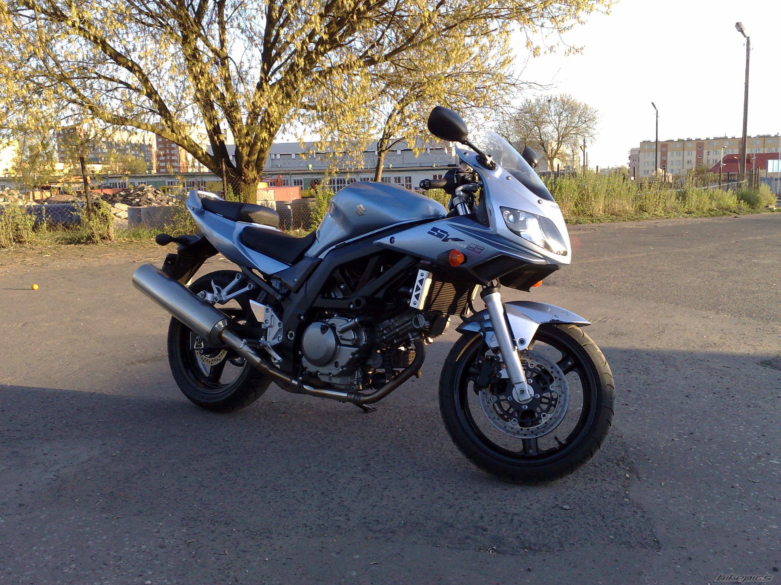 2006 SUZUKI SV 650S | Picture 1733423 motorcycle photo