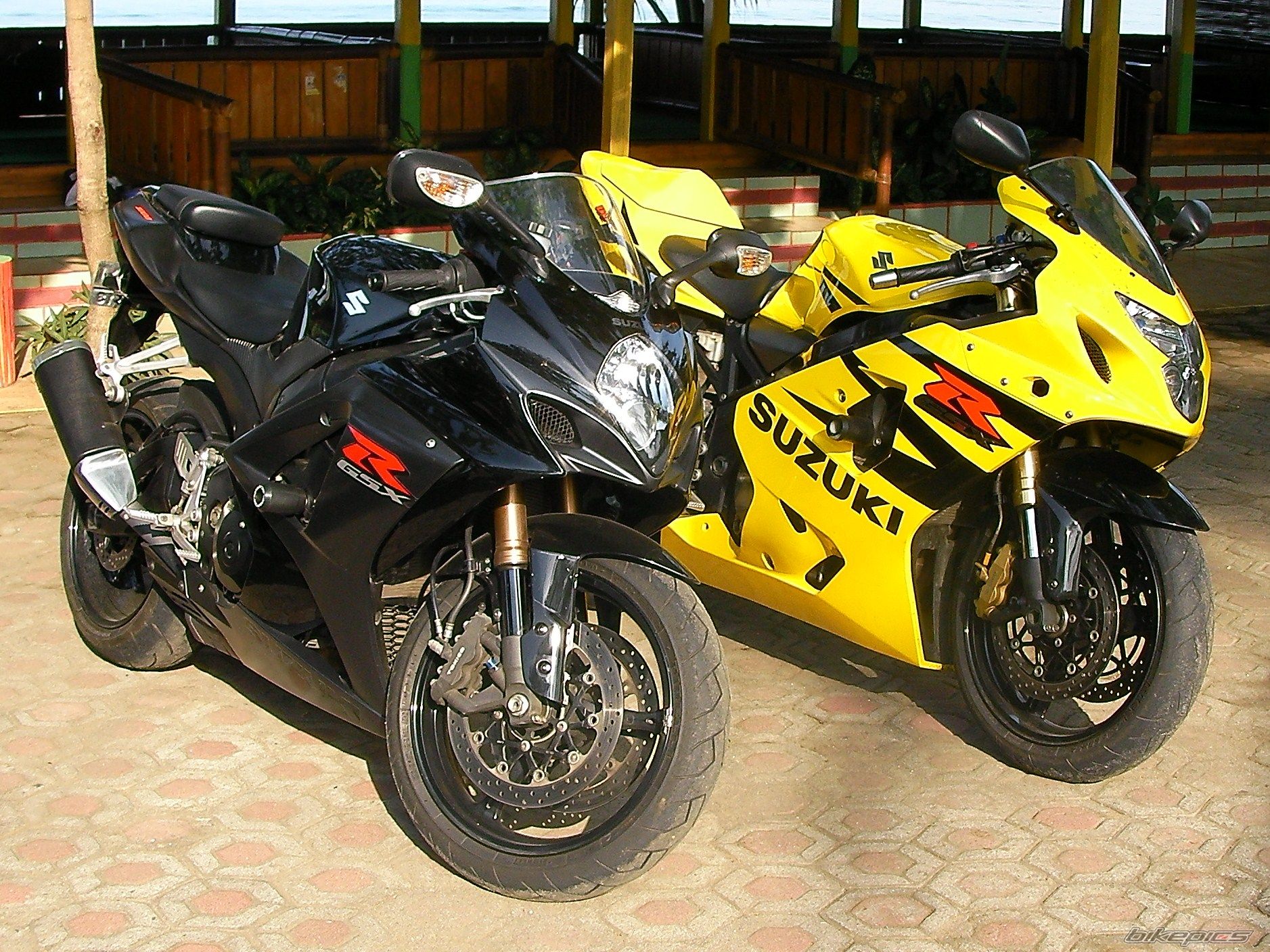 2008 SUZUKI GSX R 1000 | Picture 1733567 motorcycle photo