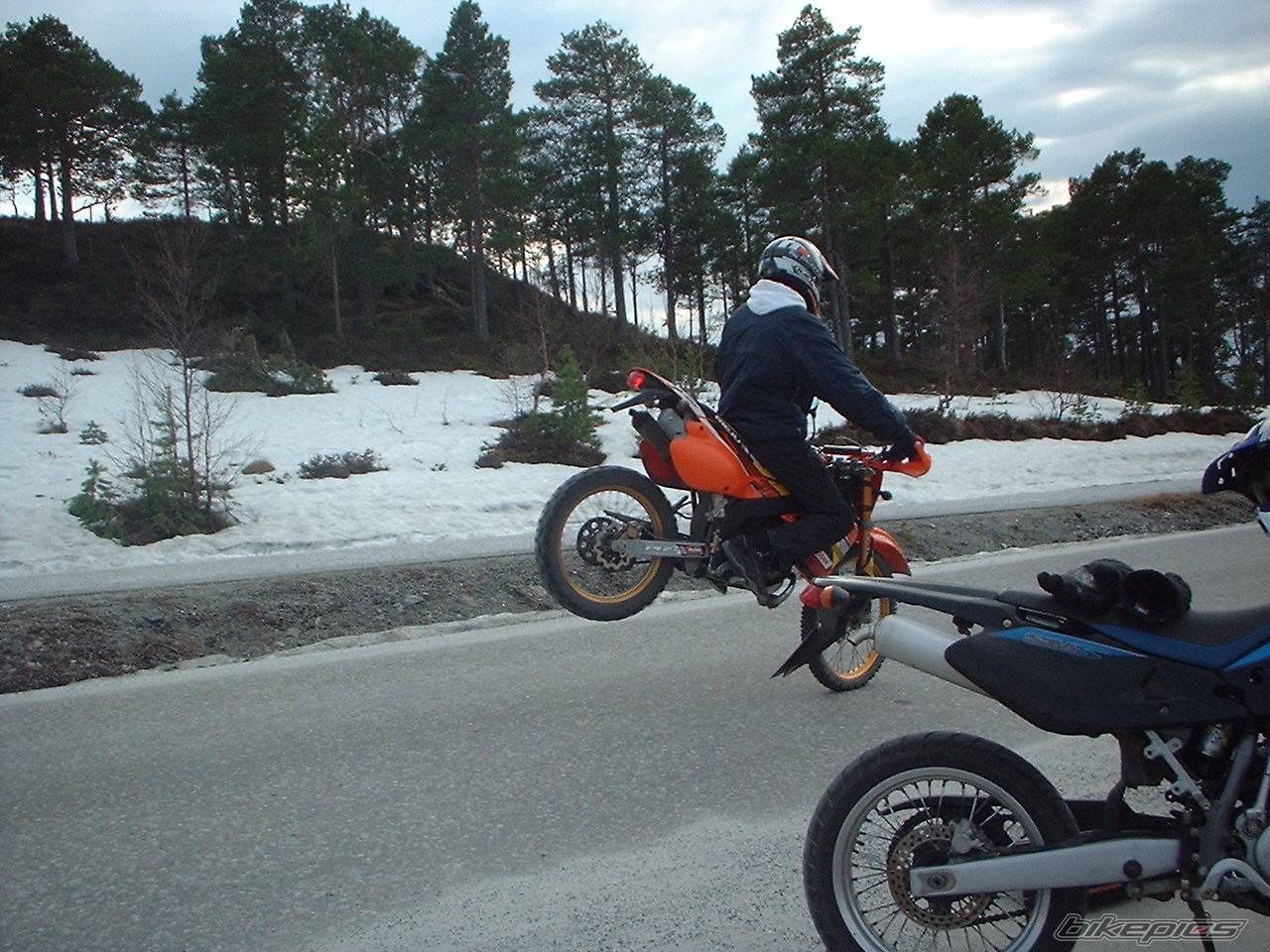 2003 RIEJU MRX 50 PRO | Picture 173391 motorcycle photo