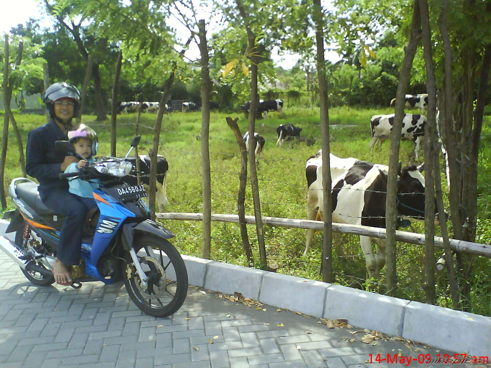 2009 SUZUKI SHOGUN SP 125 | Picture 1734685 motorcycle photo