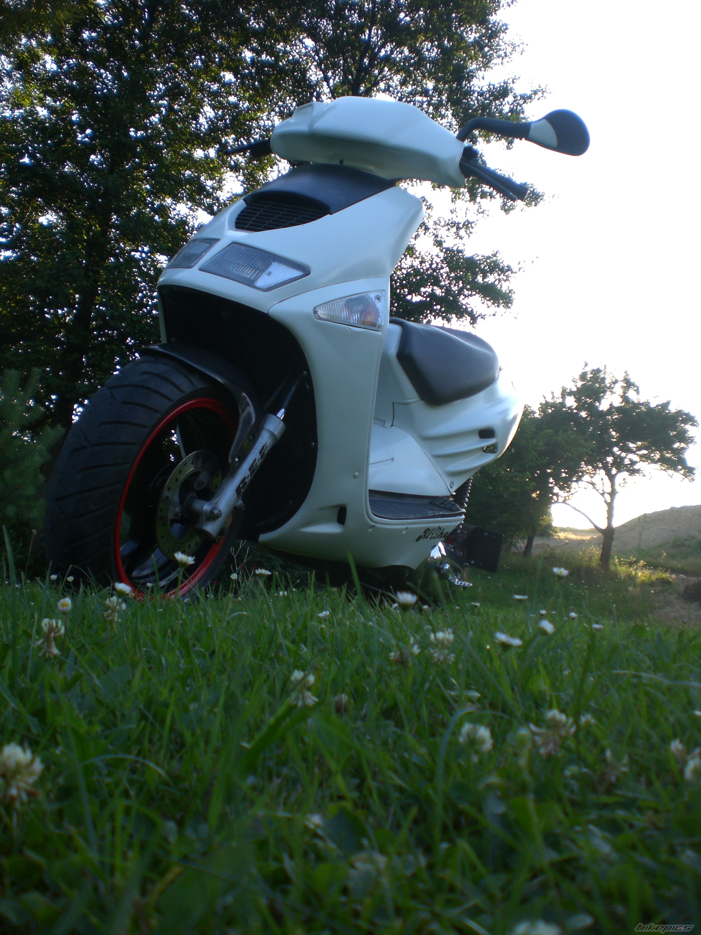1995 APRILIA SR 50 | Picture 1734694 motorcycle photo
