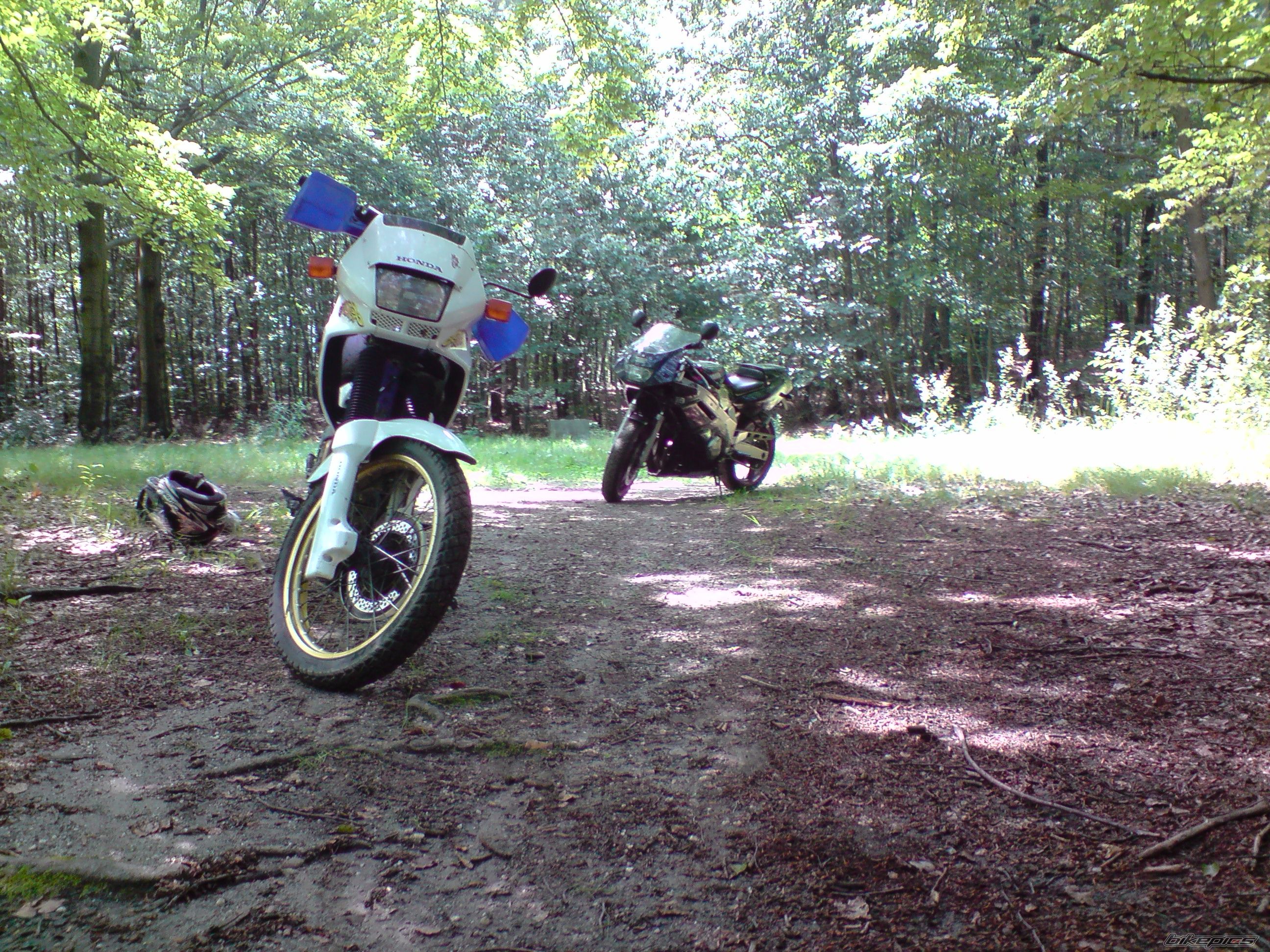 1994 HONDA NX 650 DOMINATOR | Picture 1735014 motorcycle photo