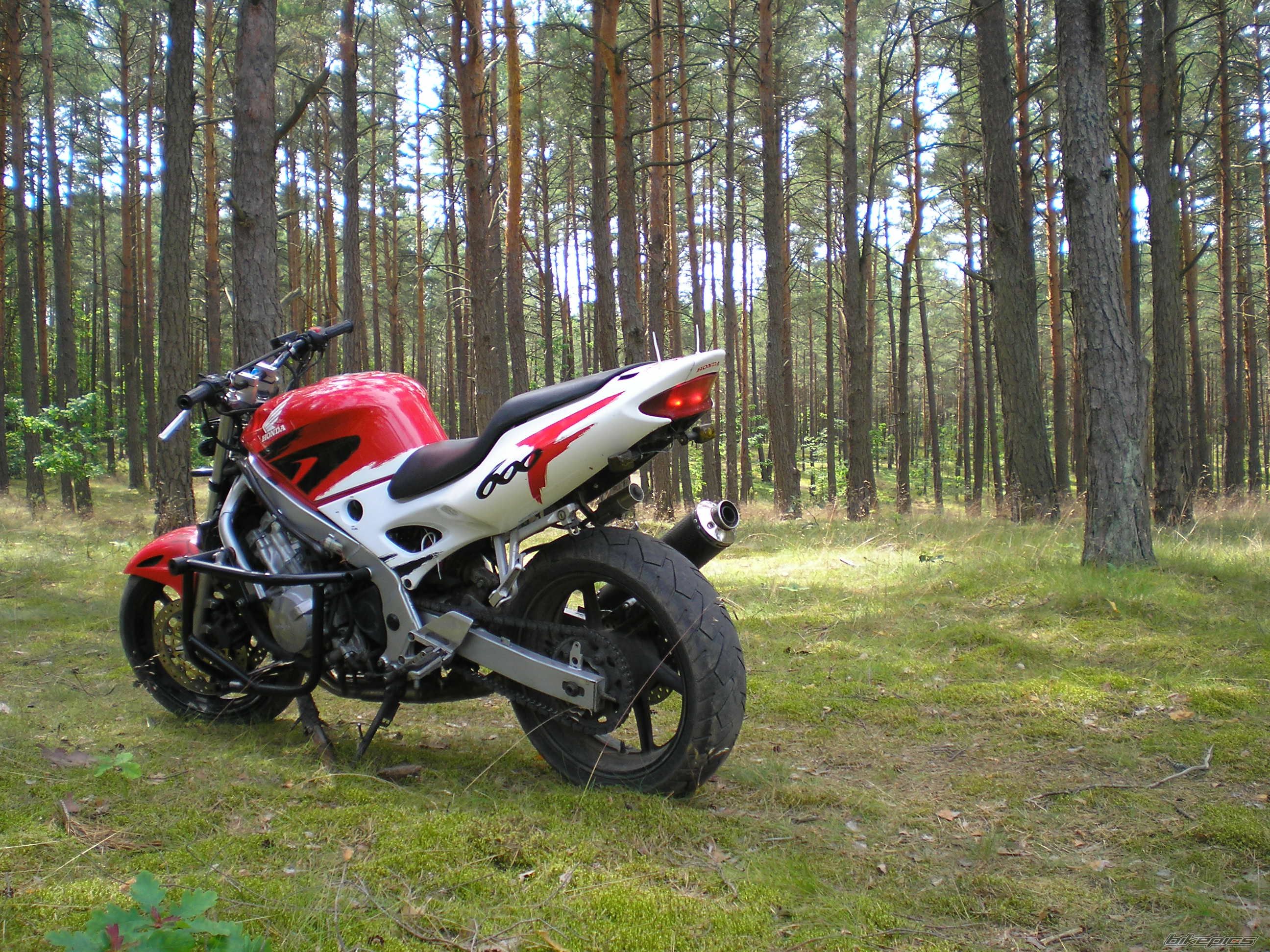 1997 HONDA CBR 600 | Picture 1735365 motorcycle photo