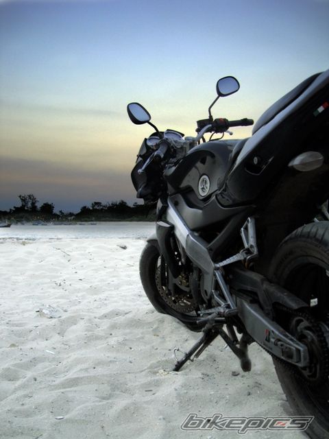 2009 YAMAHA SCORPIO 225 | Picture 1735683 motorcycle photo
