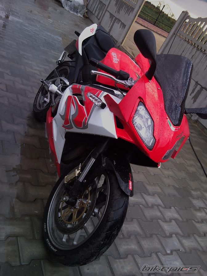 2008 APRILIA RS 125 | Picture 1736920 motorcycle photo