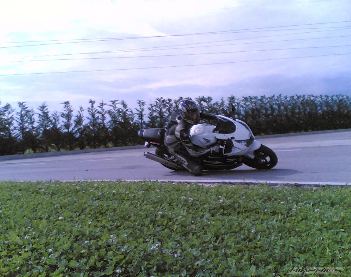 2002 HONDA CBR 954RR FIREBLADE | Picture 1737664 motorcycle photo