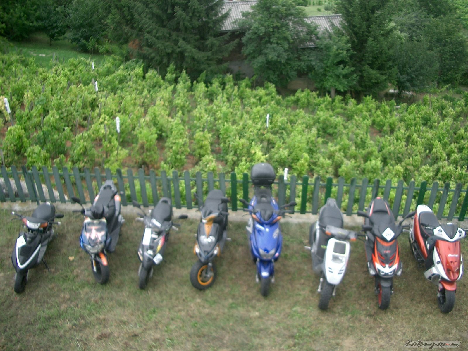    | Picture 1738156 motorcycle photo