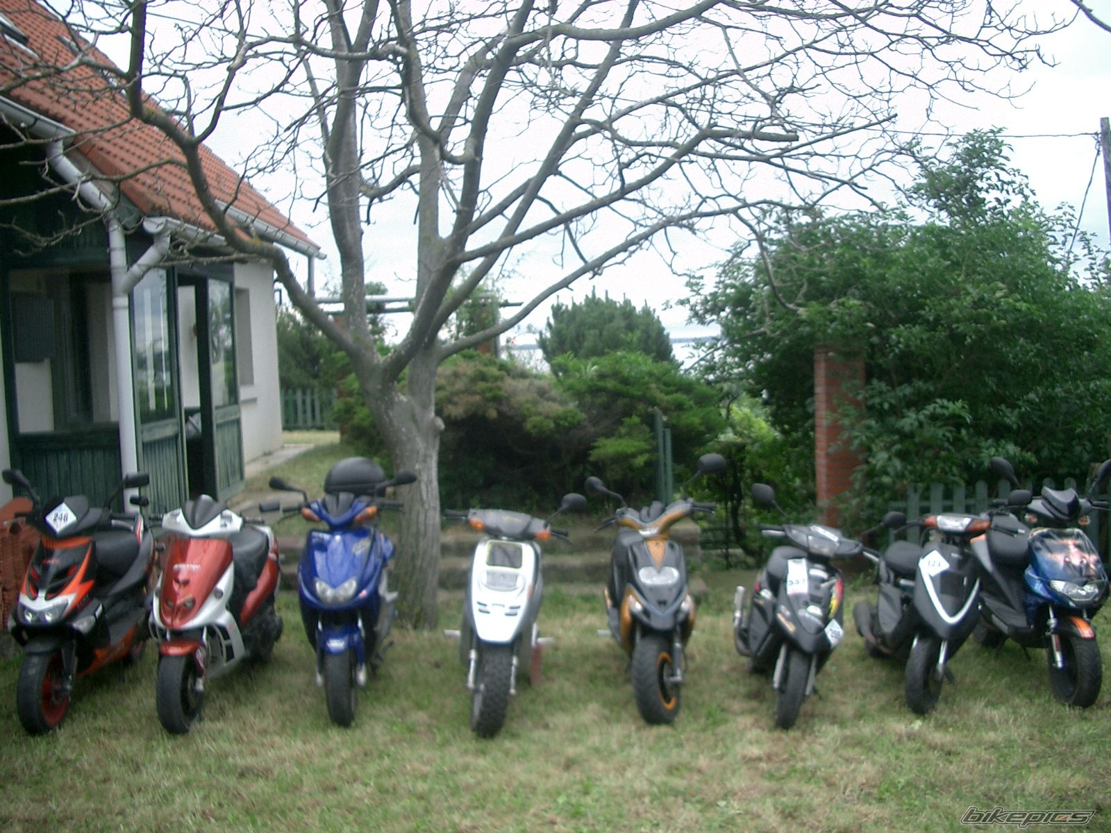    | Picture 1738157 motorcycle photo