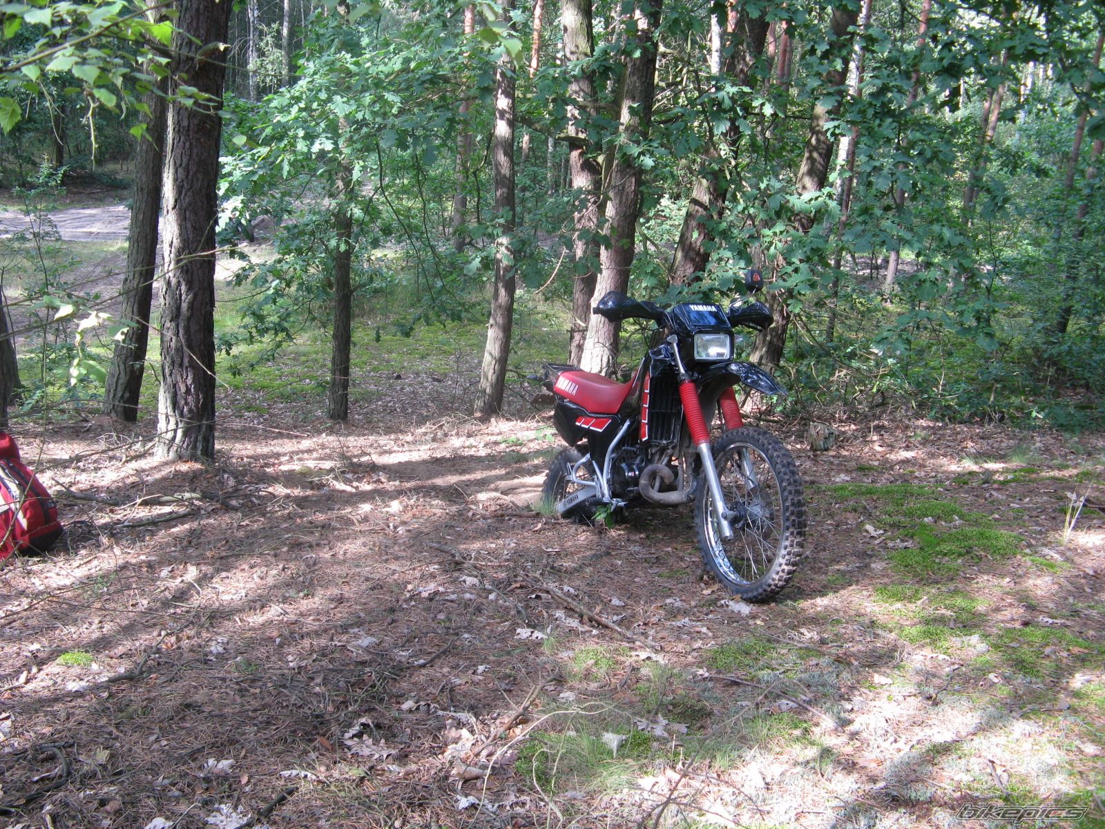 2010 YAMAHA DT 80 | Picture 1738254 motorcycle photo