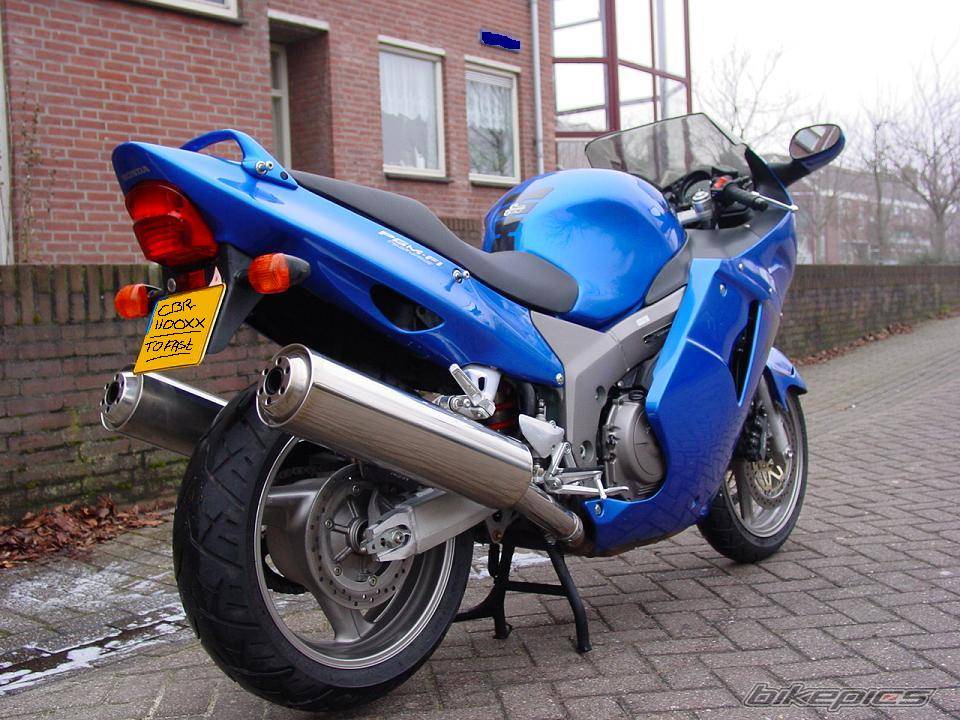 2000 HONDA CBR 1100 BLACKBIRD | Picture 17384 motorcycle photo