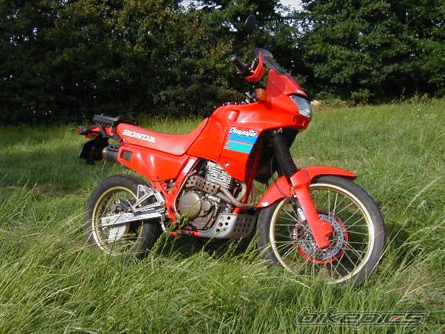 1991 HONDA NX 650 DOMINATOR | Picture 173852 motorcycle photo