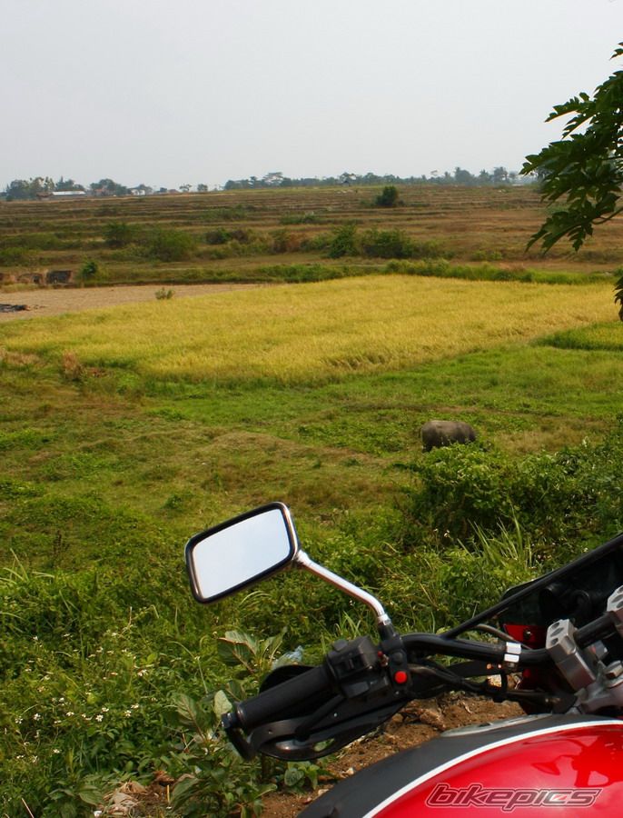 2008 BAJAJ PULSAR 200 | Picture 1738765 motorcycle photo