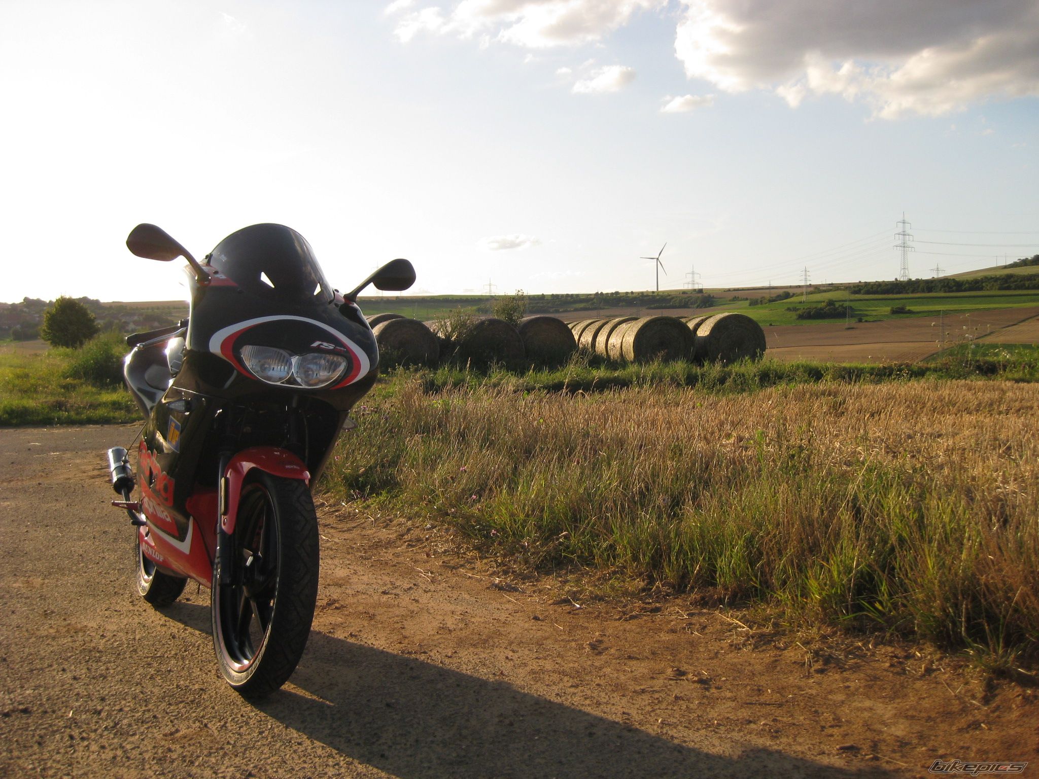 2010 APRILIA RS 50 | Picture 1739130 motorcycle photo