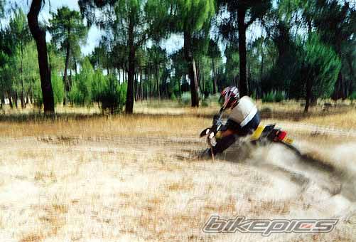 2000 SUZUKI DR 50 | Picture 173939 motorcycle photo
