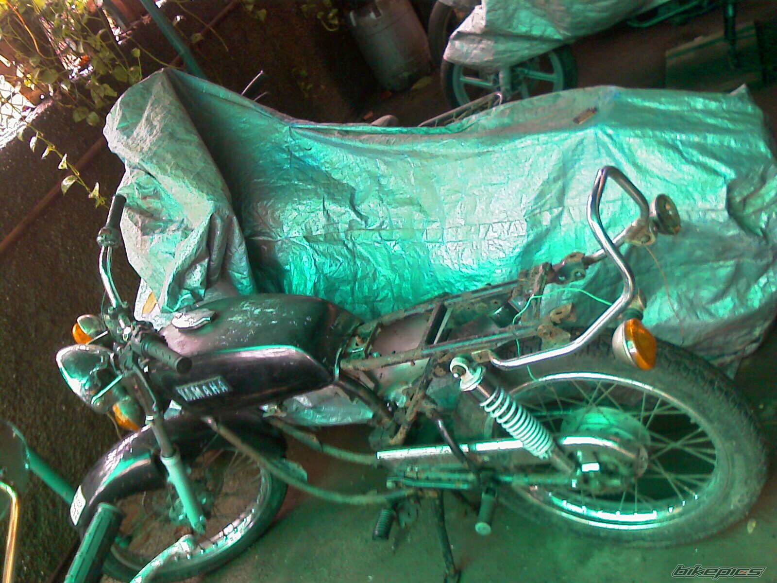 1999 YAMAHA RX 135 | Picture 1739896 motorcycle photo