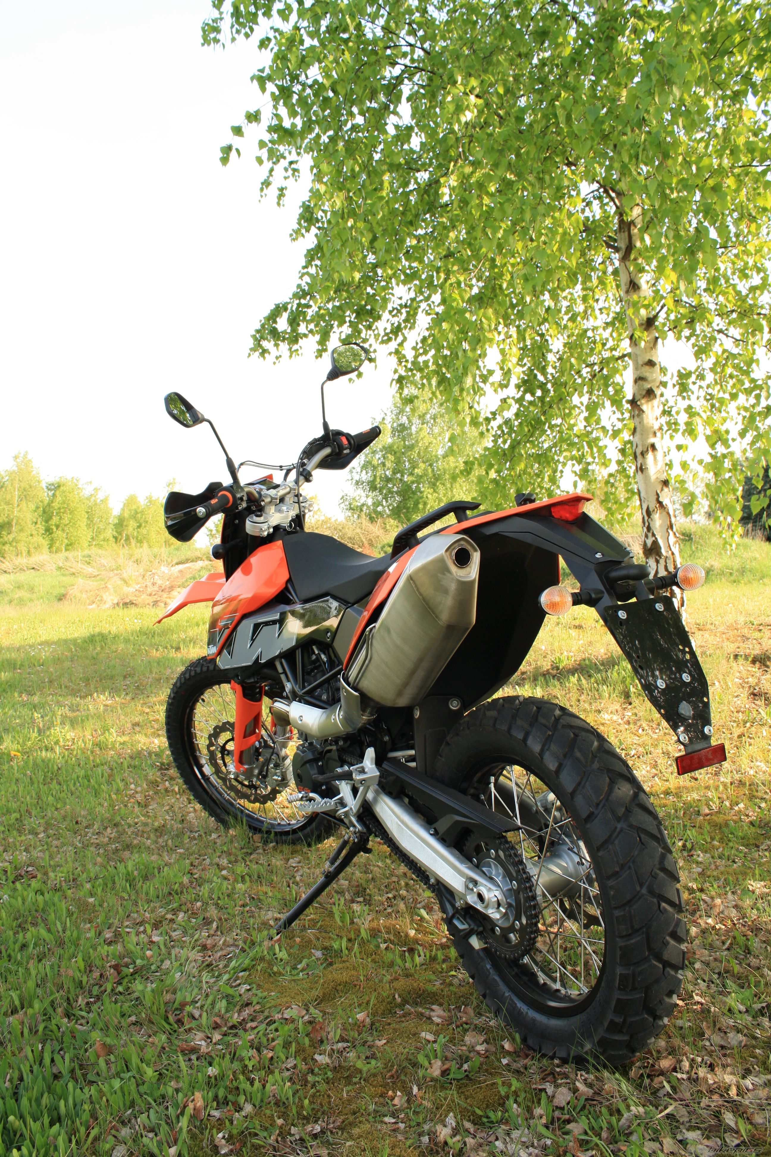 2008 KTM 690 ENDURO | Picture 1741239 motorcycle photo