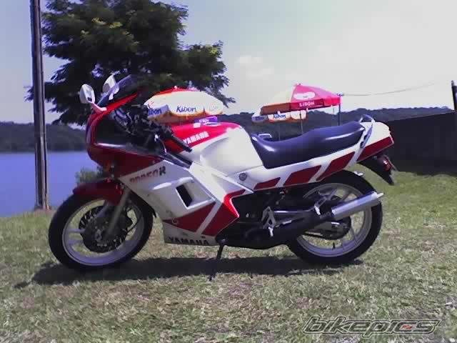 1991 YAMAHA RD 350 | Picture 1741305 motorcycle photo