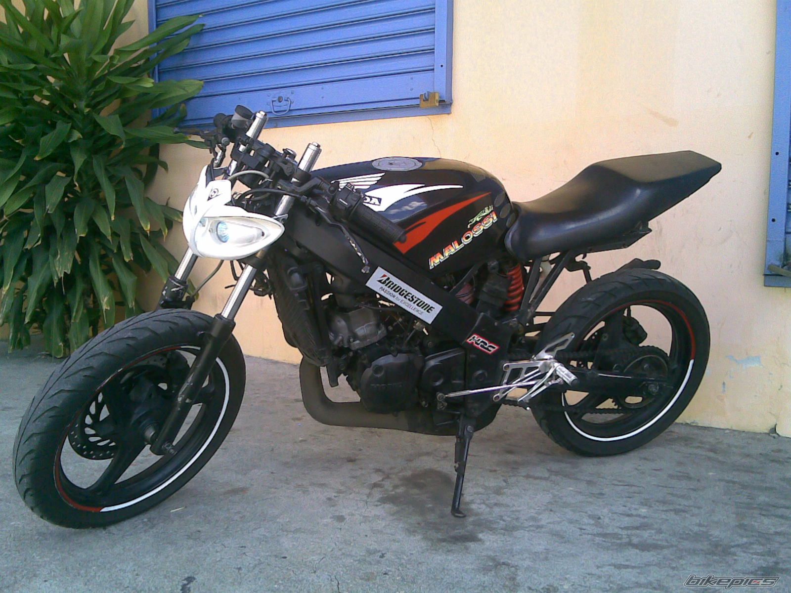 2001 HONDA FSX 150 | Picture 1741466 motorcycle photo