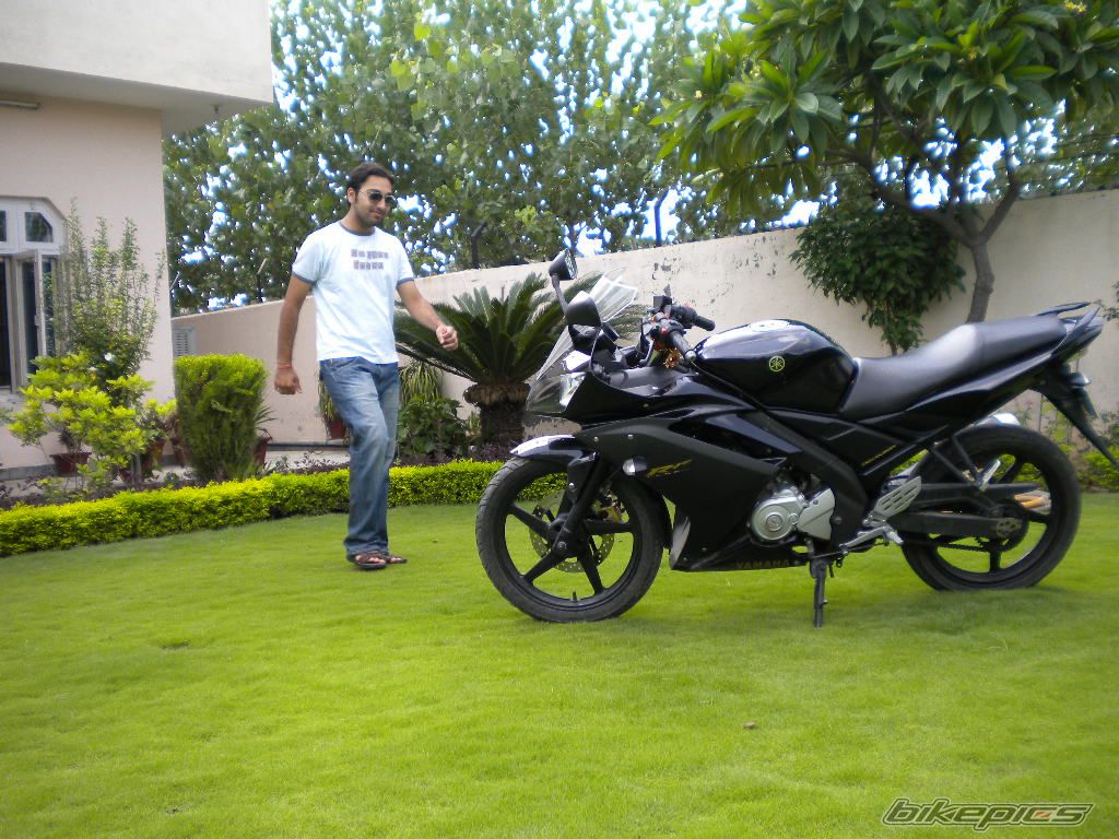 2008 YAMAHA YZF R15 | Picture 1741488 motorcycle photo