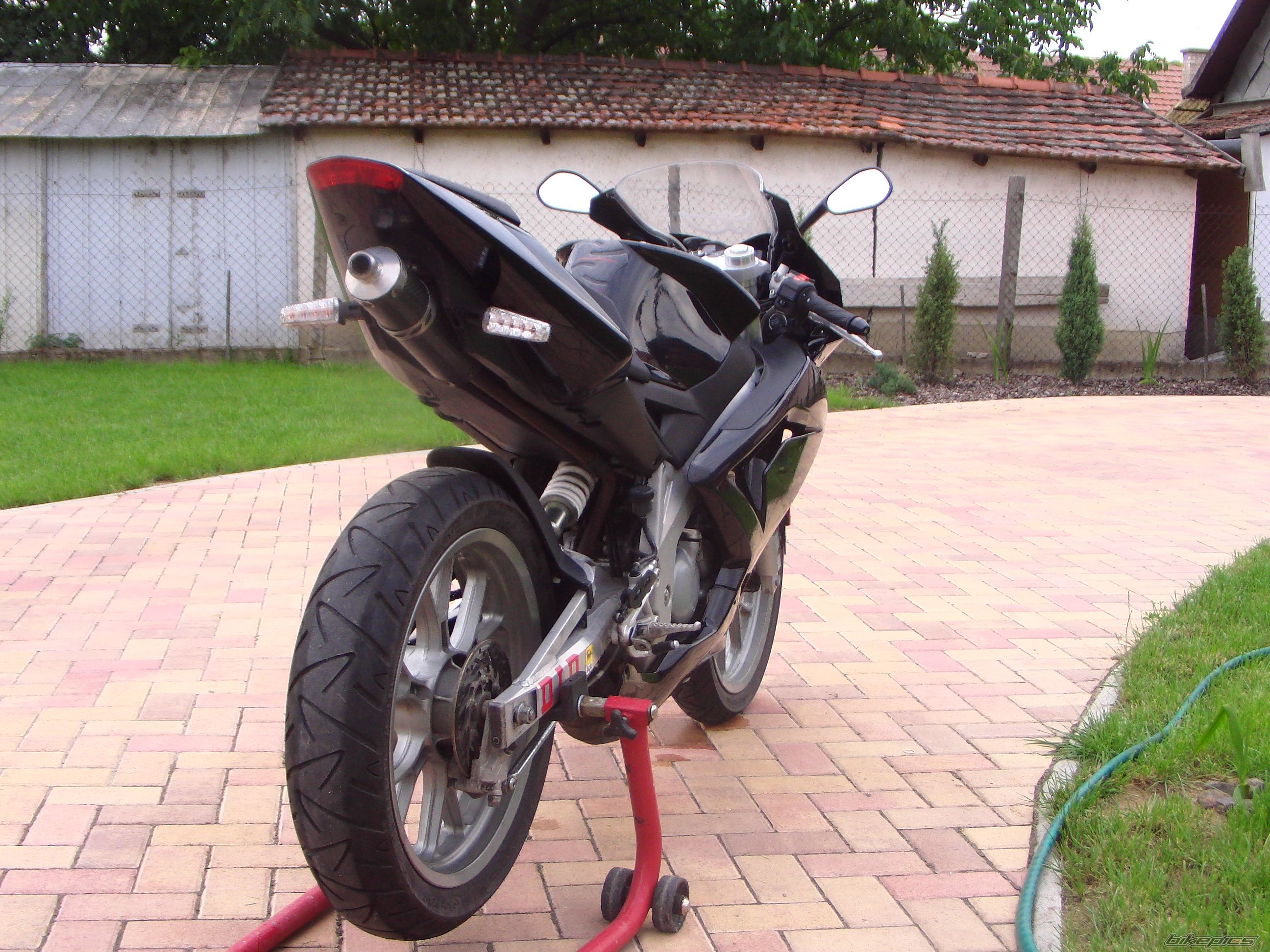 2008 APRILIA RS 50 | Picture 1741823 motorcycle photo