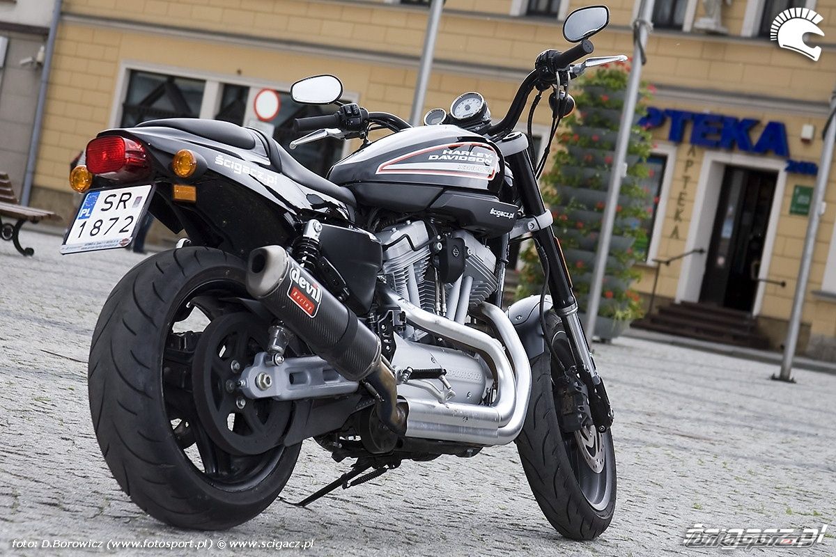 2009 HARLEY DAVIDSON XL 1200R | Picture 1741906 motorcycle photo